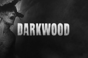 阴暗森林/Darkwood（v4224822）