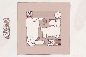 井然有狗/Dogs Organized Neatly