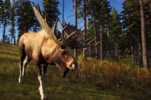 猎人之路/Way of the Hunter（v1.24整合蒂卡蒙平原DLC）