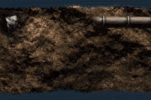 末日准备狂/Mr. Prepper（v1.30k —更新动物农场 DLC）