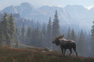 猎人：野性的呼唤/theHunter: Call of the Wild（整合全DLC最新澳大利亚翡海岸）