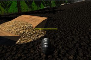 昆虫生活模拟器/Insect Simulator