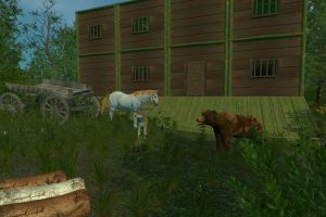 荒野的试炼/Trials Of Wilderness